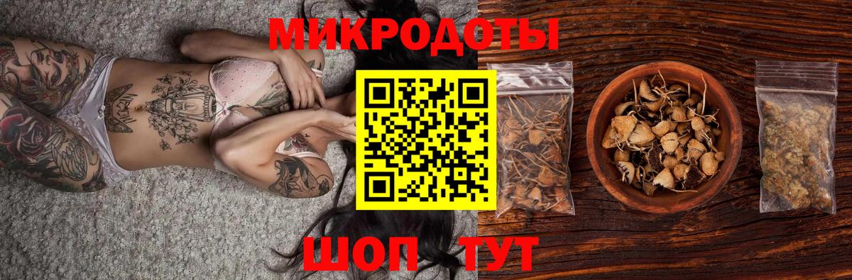 Галлюциногенные грибы GOLDEN TEACHER Бийск