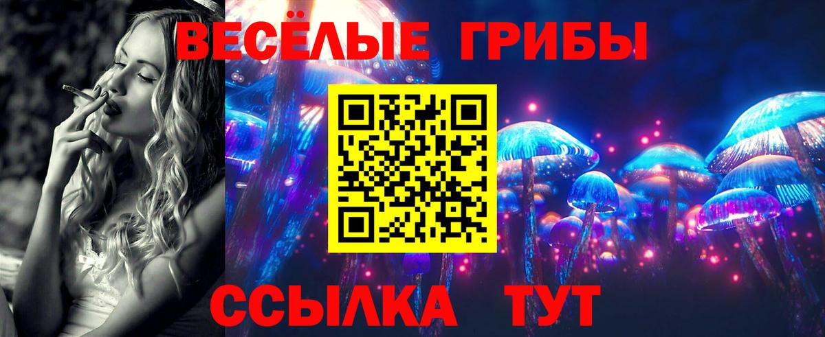Бийск  Галлюциногенные грибы Magic Shrooms  Вход с VPN  даркнет сайт  Галлюциногенные грибы Psilocybine cubensis 